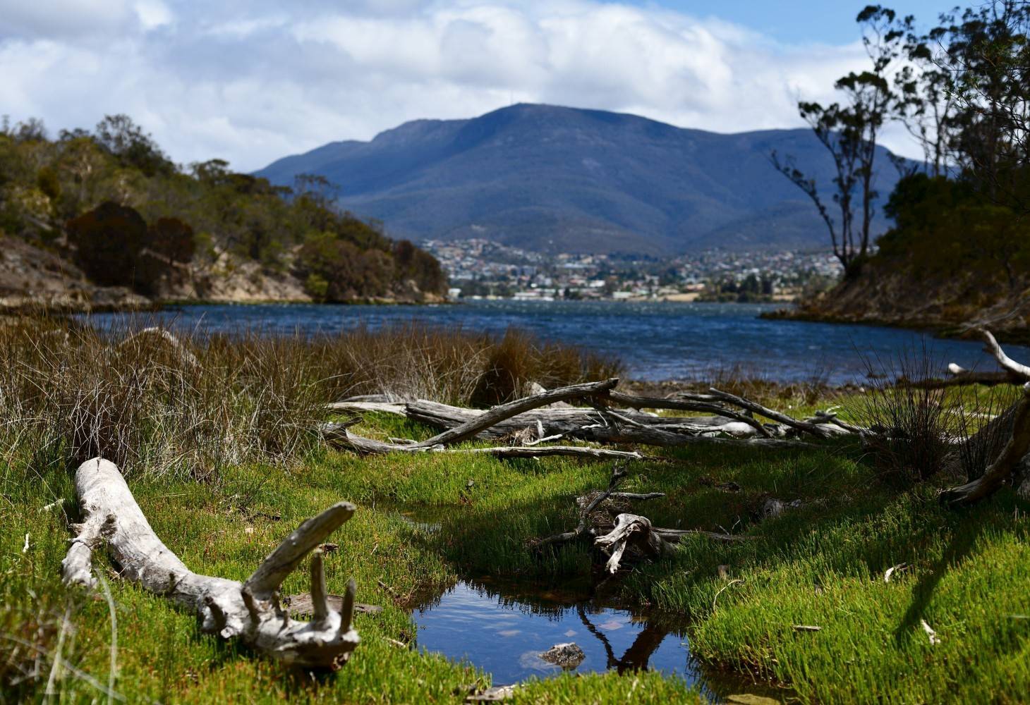 A view of Hobart from the eastern shore of the Derwent River